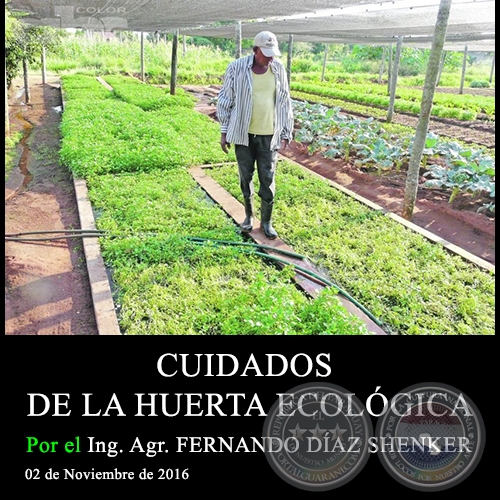 CUIDADOS DE LA HUERTA ECOLÓGICA - Ing. Agr. FERNANDO DÍAZ SHENKER - 02 de Noviembre de 2016